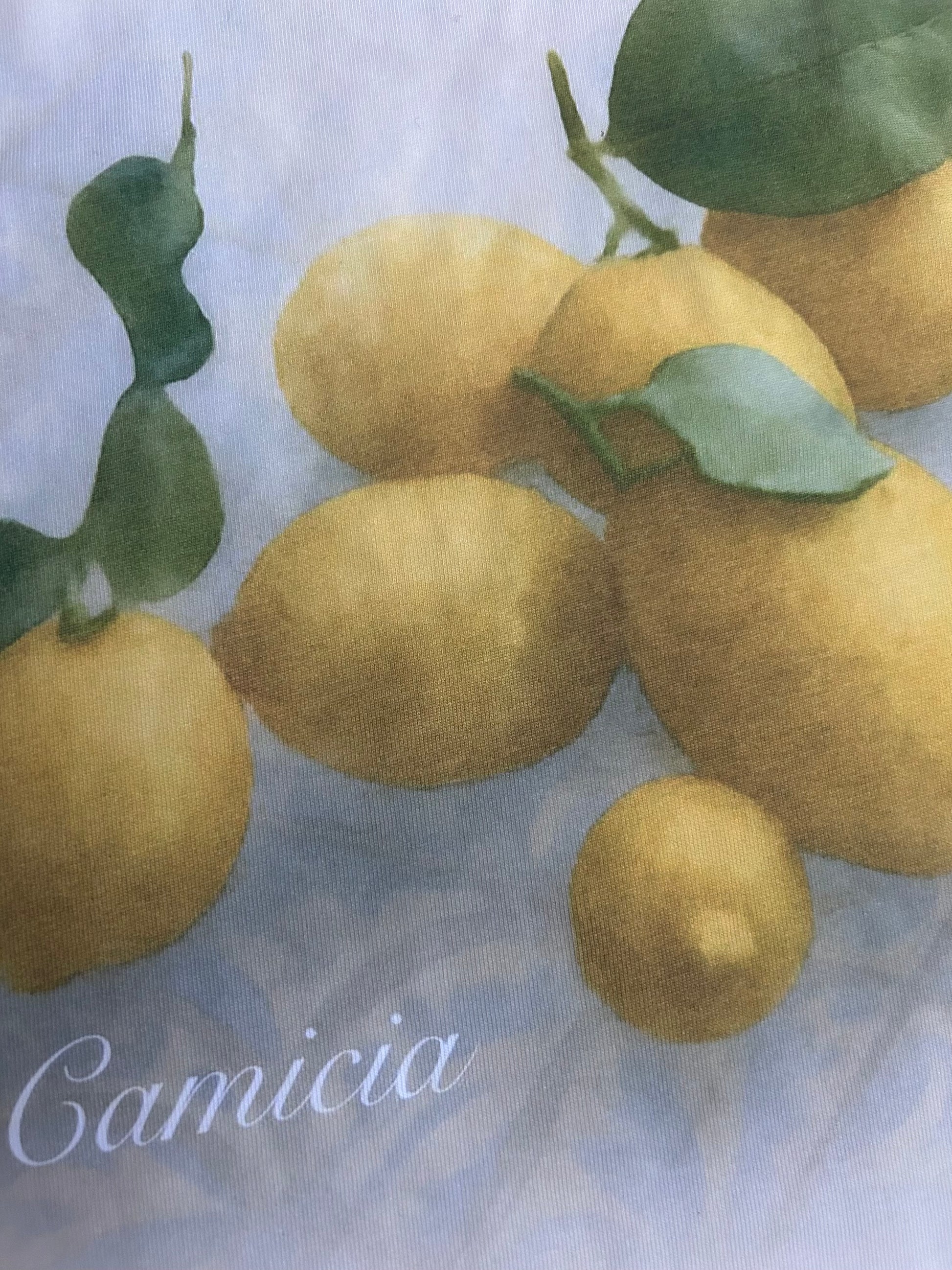 Cropped White Lemons T shirt